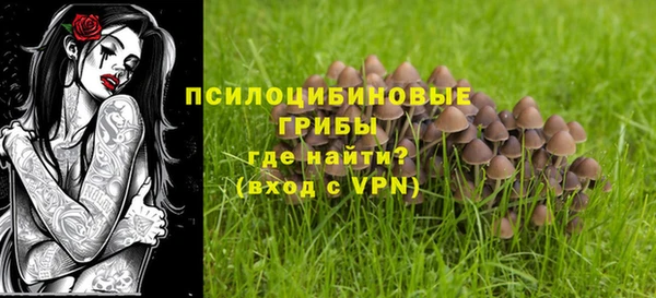 а пвп мука Пестово
