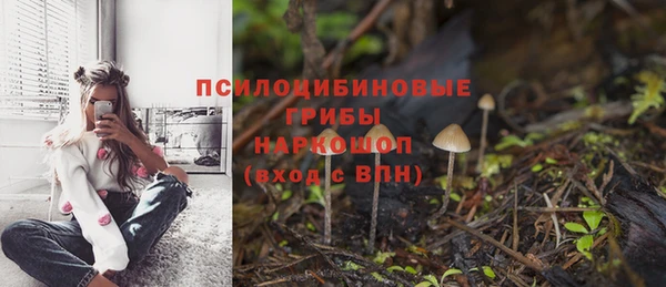 мет Осташков