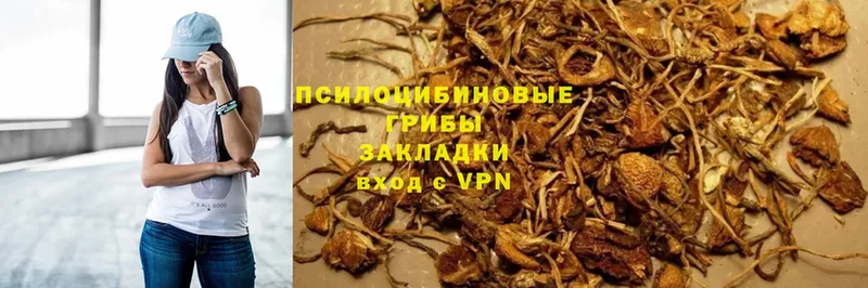 Псилоцибиновые грибы GOLDEN TEACHER  купить  сайты  Карталы 