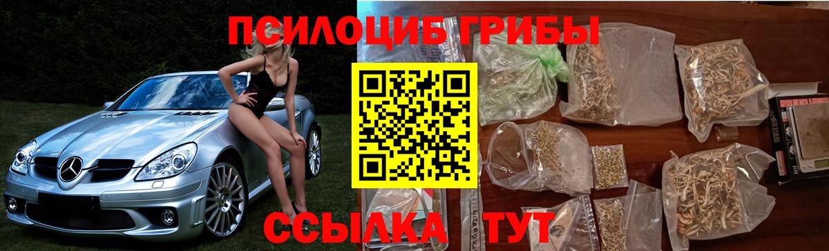 Псилоцибиновые грибы GOLDEN TEACHER  Карталы 