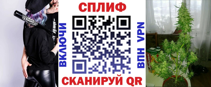 блэк спрут маркетплейс  Карталы  Бошки Шишки тримм 